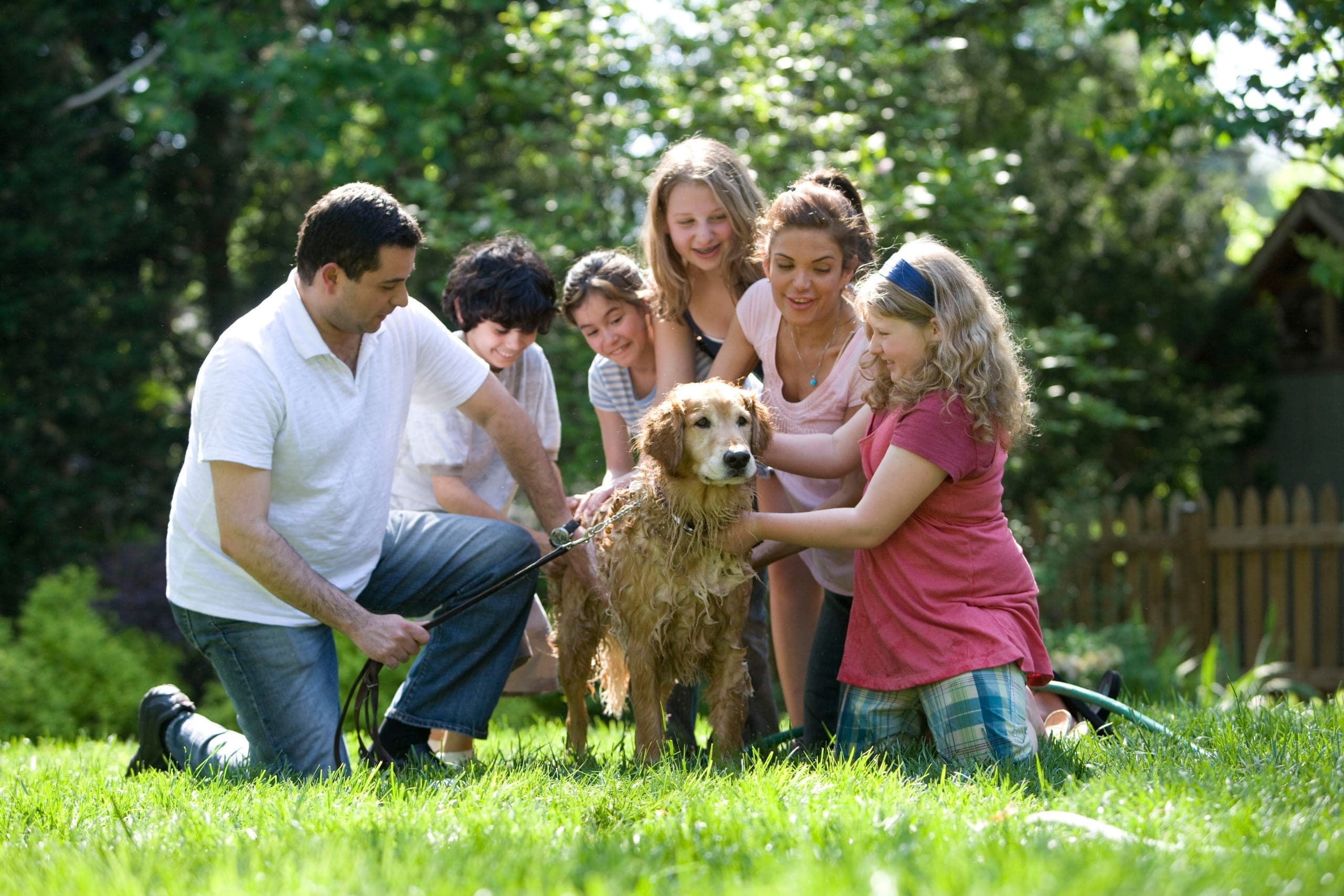 estate pet planning